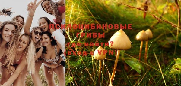 спайс Кодинск